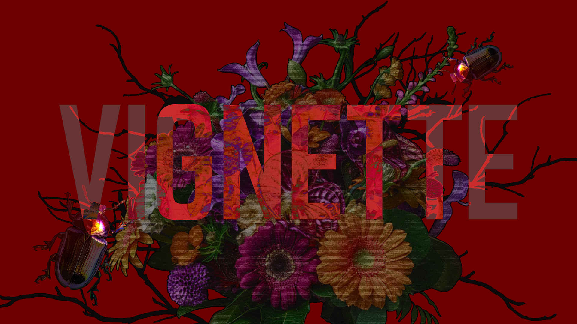 VIGNETTE